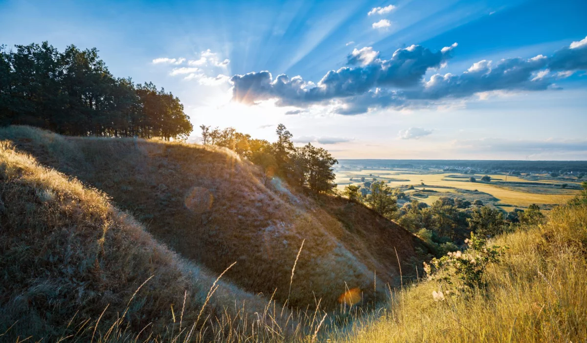 W 2020 można dobrze  znaleźć kardiologa ale czy za za 10 lat też?