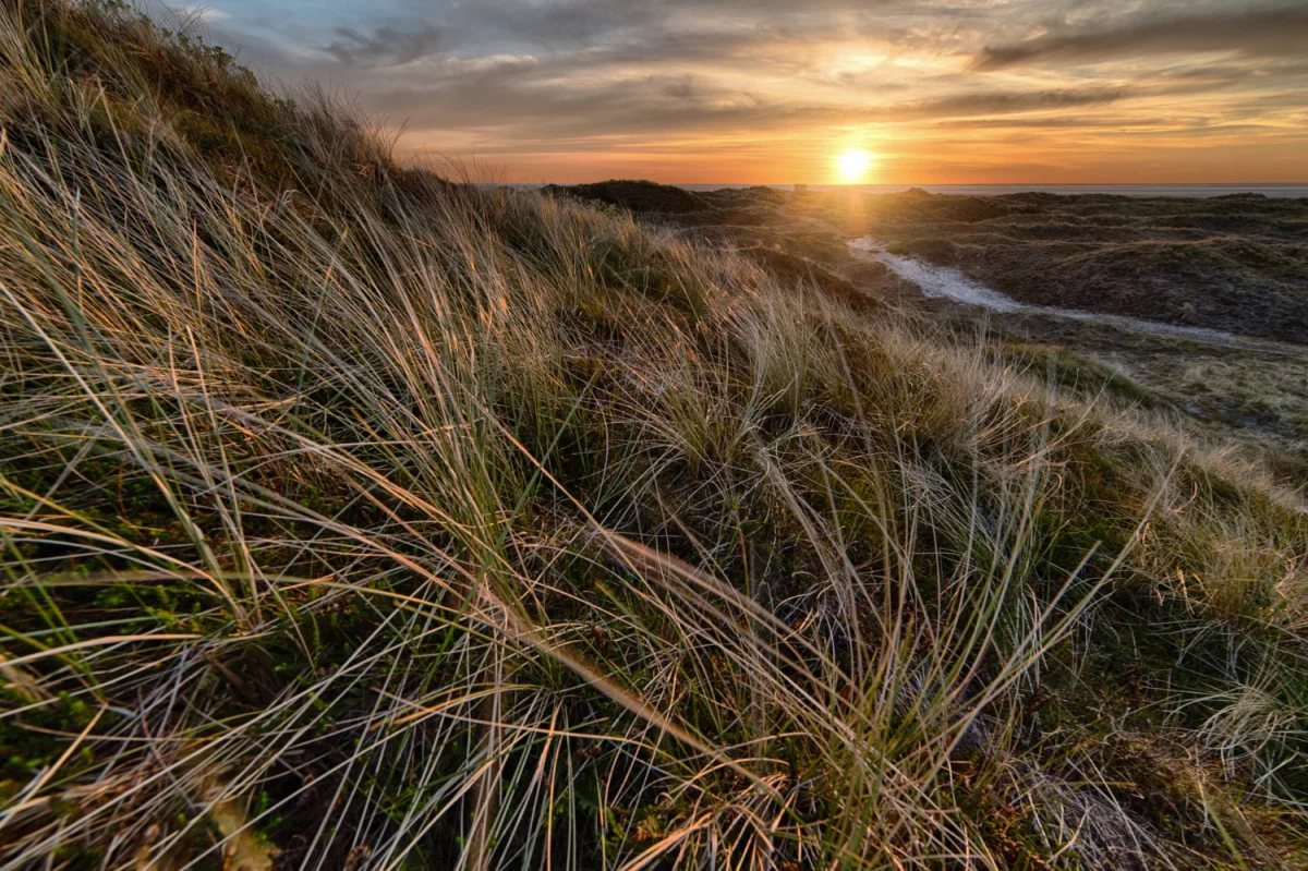 chronić środowisko? Jak ekspert!