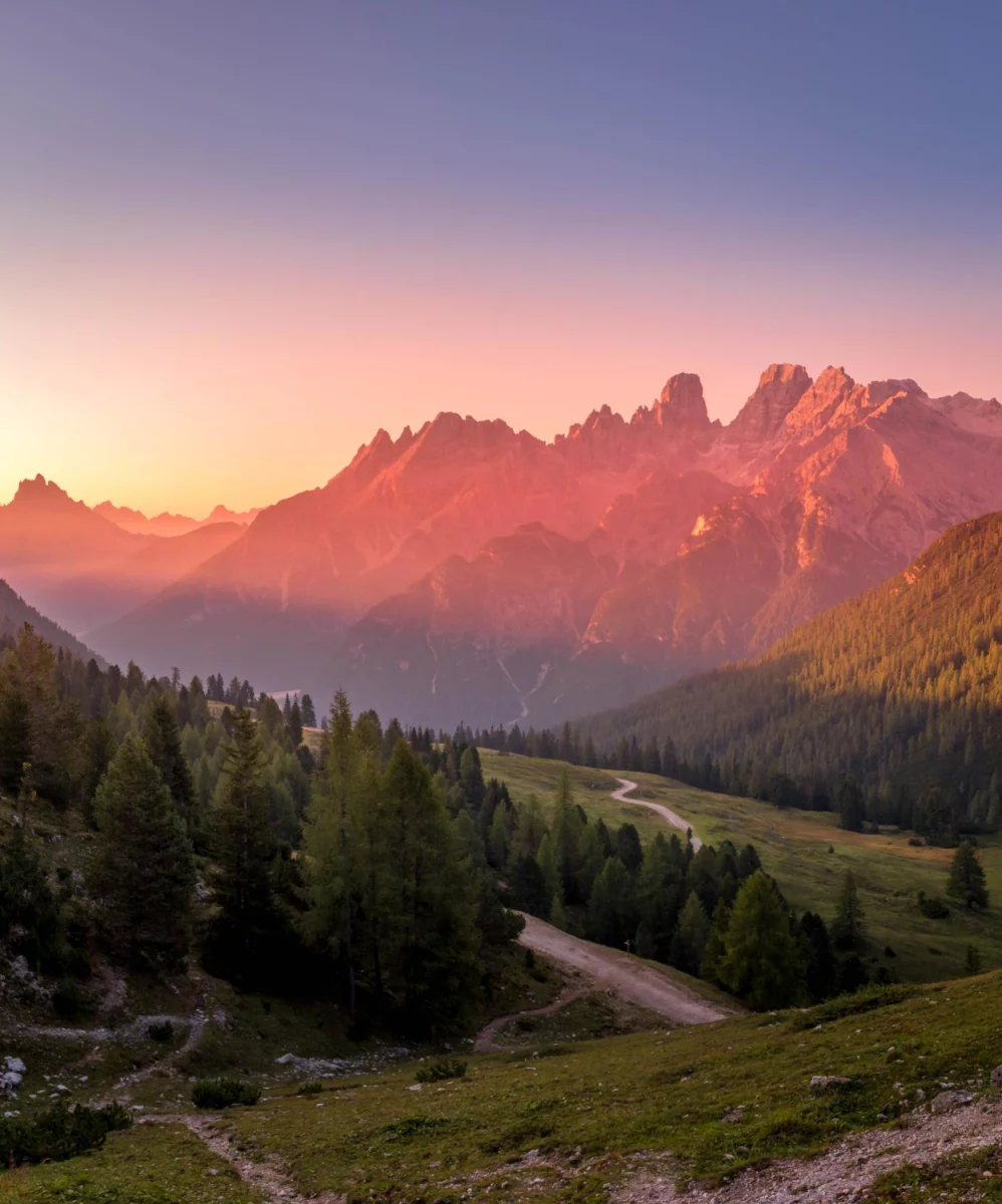  Gdzie do dentysty w Zabrzu?