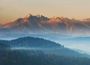 Dobry stomatolog w Zabrzu