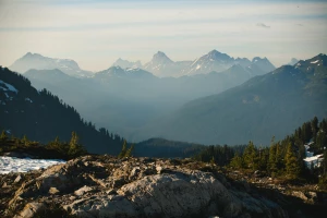 Dlaczego warto złożyć sprawozdanie BDO?